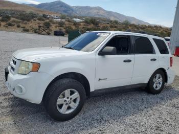  Salvage Ford Escape