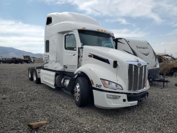  Salvage Peterbilt 579