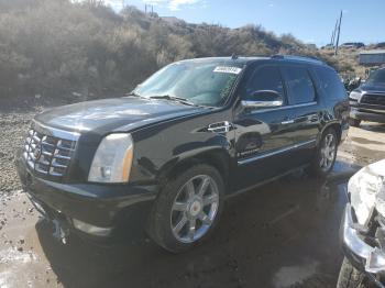  Salvage Cadillac Escalade