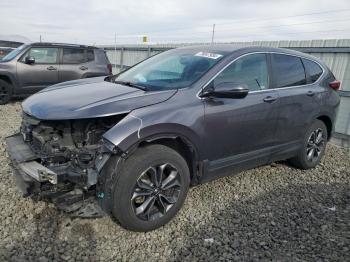  Salvage Honda Crv