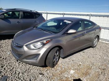  Salvage Hyundai ELANTRA