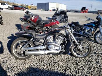  Salvage Harley-Davidson Vrs