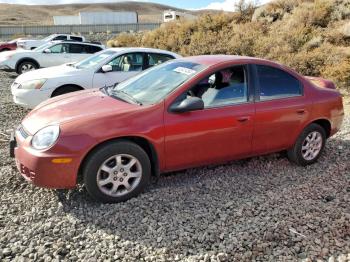  Salvage Dodge Neon