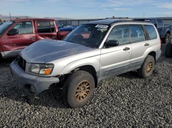  Salvage Subaru Forester