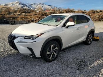  Salvage Lexus NX