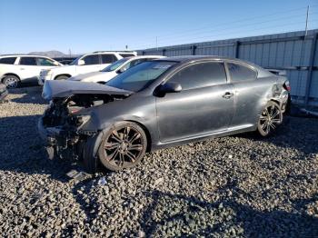  Salvage Toyota Scion