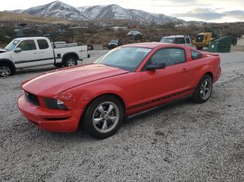  Salvage Ford Mustang