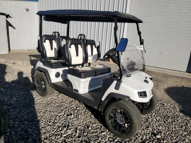  Salvage Evol Golf Cart