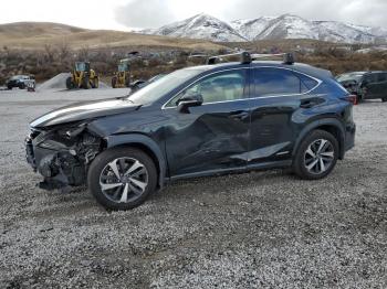  Salvage Lexus NX