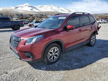  Salvage Subaru Forester