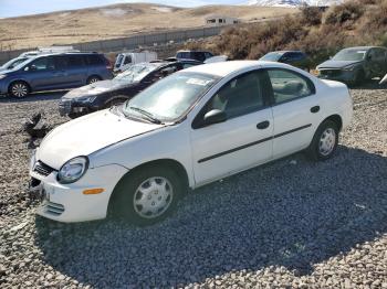  Salvage Dodge Neon