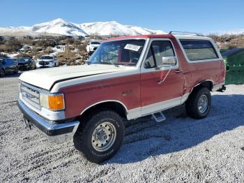  Salvage Ford Bronco