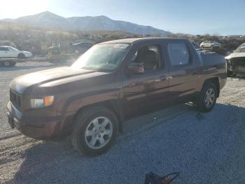  Salvage Honda Ridgeline