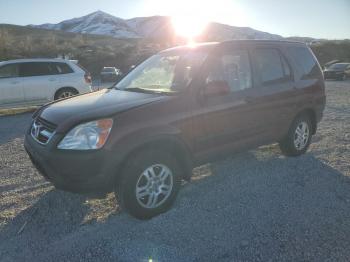  Salvage Honda Crv