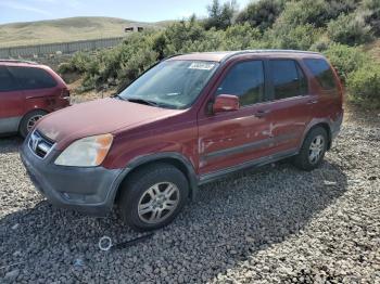  Salvage Honda Crv