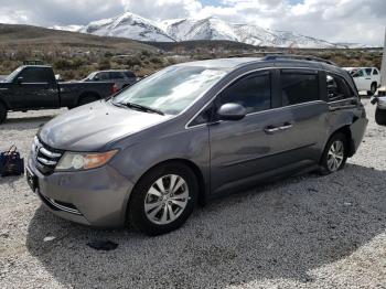  Salvage Honda Odyssey