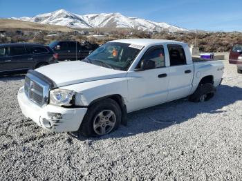  Salvage Dodge Dakota