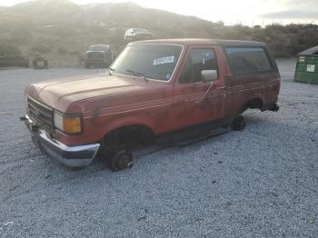  Salvage Ford Bronco