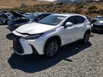 Salvage Lexus NX