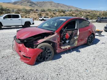  Salvage Tesla Model Y
