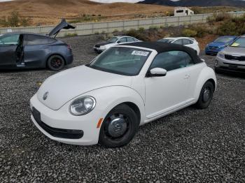  Salvage Volkswagen Beetle