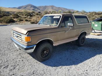  Salvage Ford Bronco