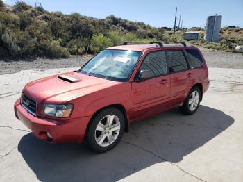 Salvage Subaru Forester