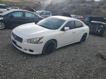  Salvage Nissan Maxima