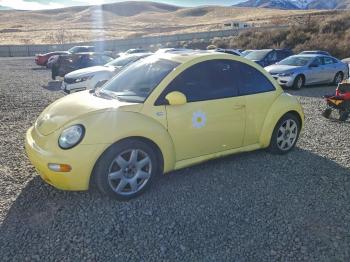  Salvage Volkswagen Beetle