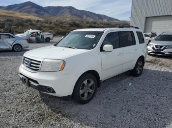  Salvage Honda Pilot