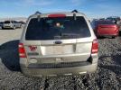 Ford Escape Xlt Image 6
