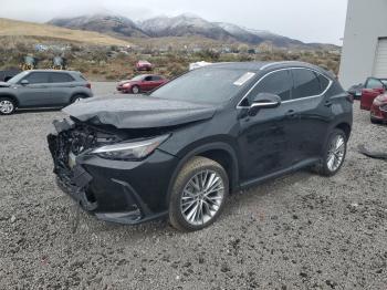  Salvage Lexus NX