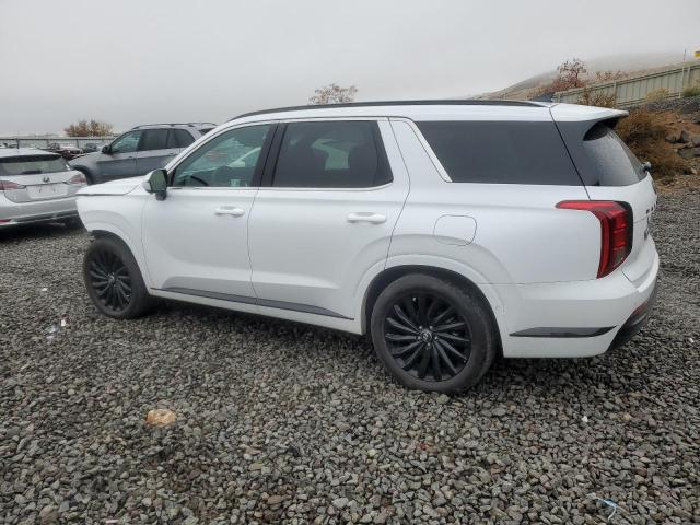 Hyundai PALISADE Calligraphy Image 12