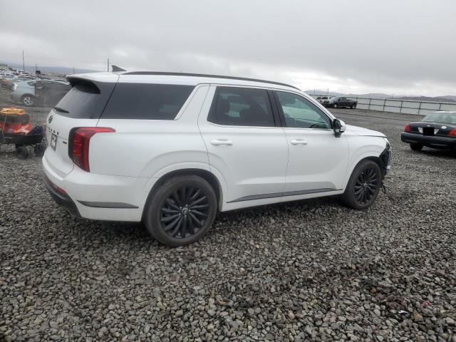 Hyundai PALISADE Calligraphy Image 3