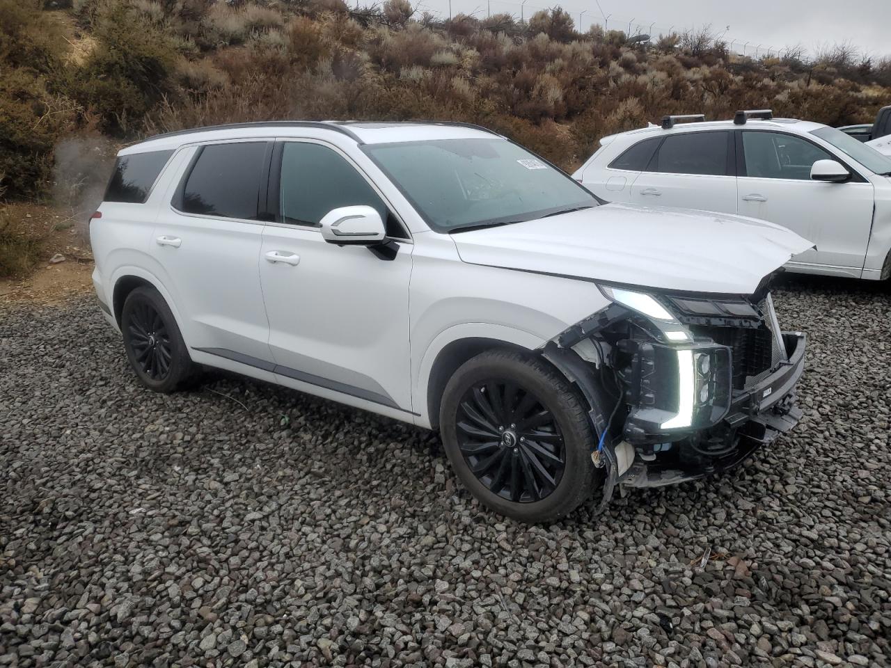 Hyundai PALISADE Calligraphy Image 6