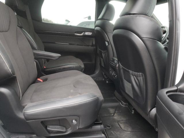 Hyundai PALISADE Calligraphy Image 13