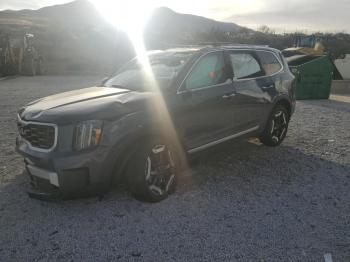  Salvage Kia Telluride
