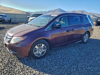  Salvage Honda Odyssey
