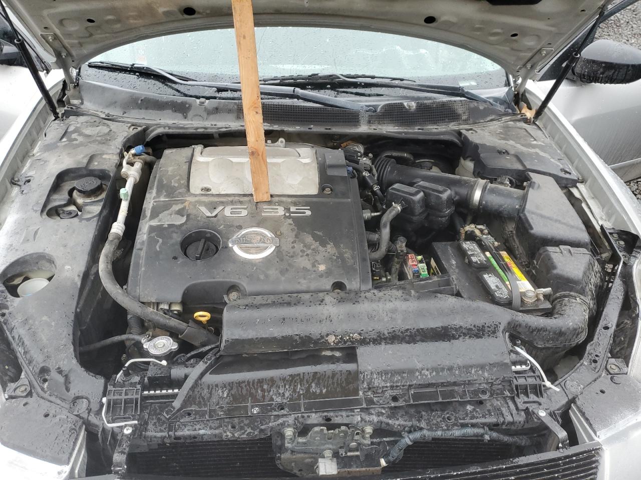 Nissan Maxima Se Image 10