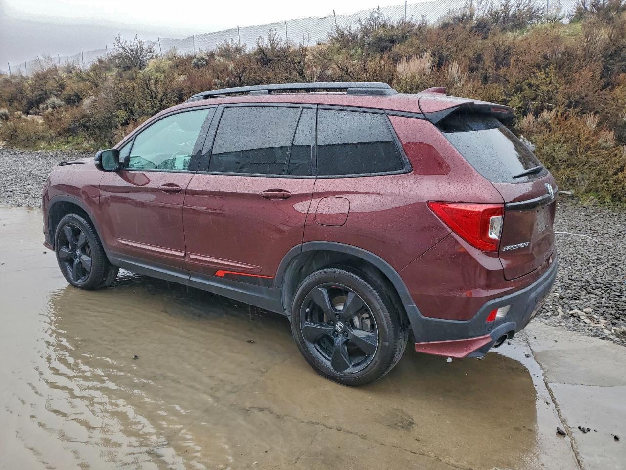 Honda Passport Elite Image 2