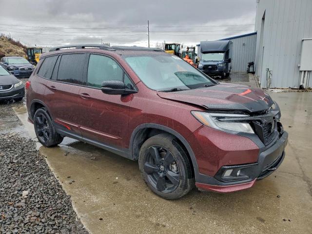 Honda Passport Elite Image 5