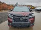Honda Passport Elite Image 3