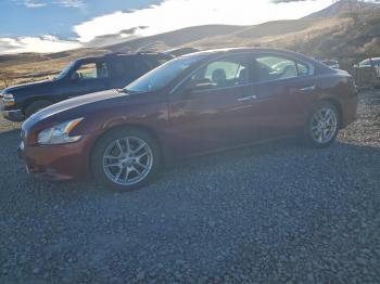  Salvage Nissan Maxima